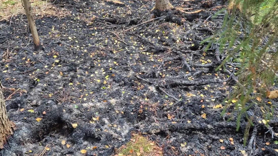FFW Schiffdorf: Aufwendige Löscharbeiten: Aufmerksame Spaziergänger bemerken Brand im Spadener Moor - Bild: presseportal.de