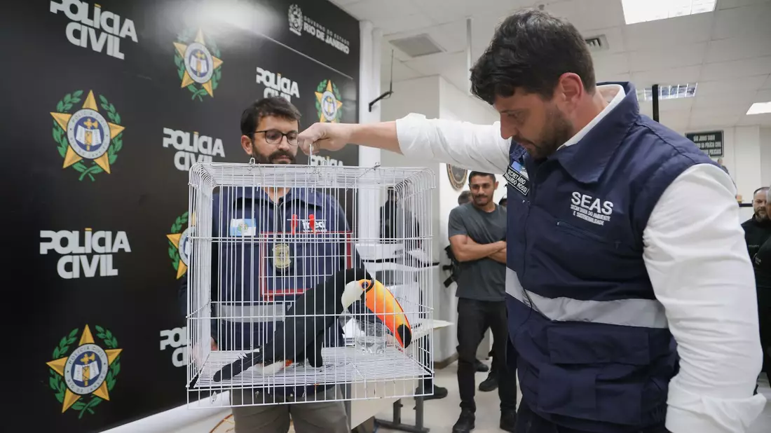 Laut Polizei bringt der Tierhandel der organisierten Kriminalität Millionen ein. - Bild: Fabiano Veneza/SEAS RJ/dpa