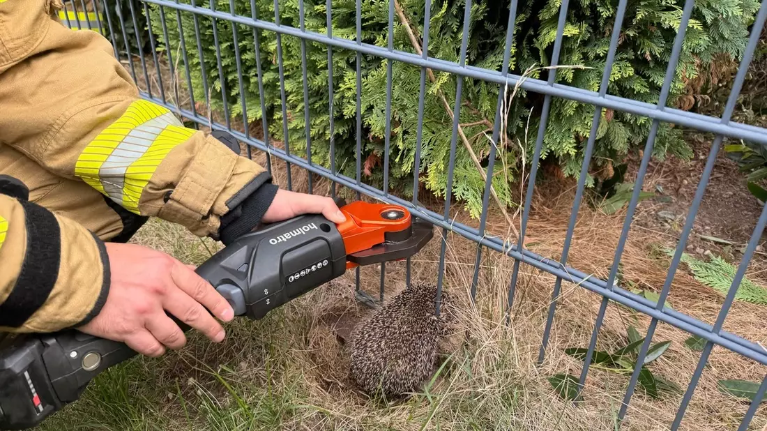 FW Alpen: Igel aus misslicher Lage befreit - Bild: presseportal.de