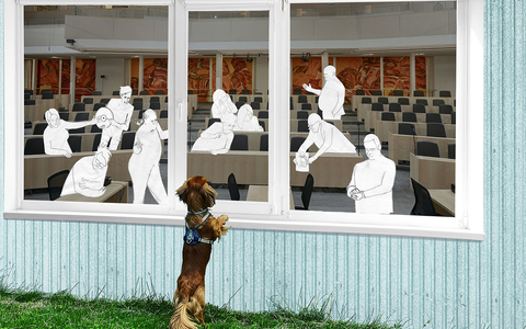 Meine Abgeordneten - Foto: Barbara Waldschütz über pressetext.de