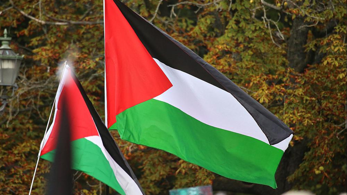Palästinenser-Flaggen (Archiv) - Foto: über dts Nachrichtenagentur