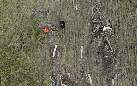 Hochwasserschäden auf einem baden-württembergischen Getreidefeld im Jahr 2024. Steigende Unwetter- und Dürregefahr bedeutend steigende Risiken für die deutsche Landwirtschaft. (Symbolbild) - Foto: Marijan Murat/dpa Hochwasserschäden auf einem baden-württembergischen Getreidefeld im Jahr 2024. Steigende Unwetter- und Dürregefahr bedeutend steigende Risiken für die deutsche Landwirtschaft. (Symbolbild) - Foto: Marijan Murat/dpa