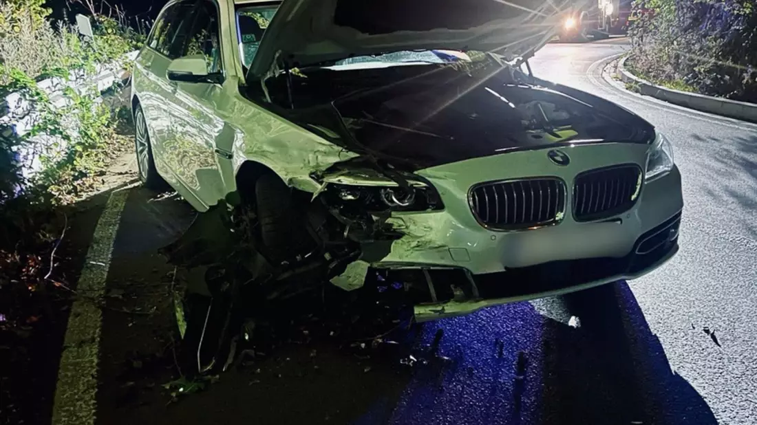 FW-EN: Verkehrsunfall und Tierrettung - Bild: presseportal.de