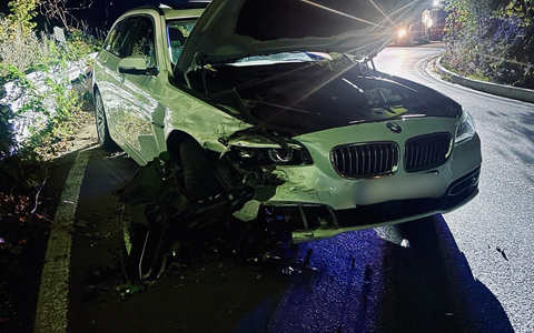 FW-EN: Verkehrsunfall und Tierrettung - Foto: presseportal.de