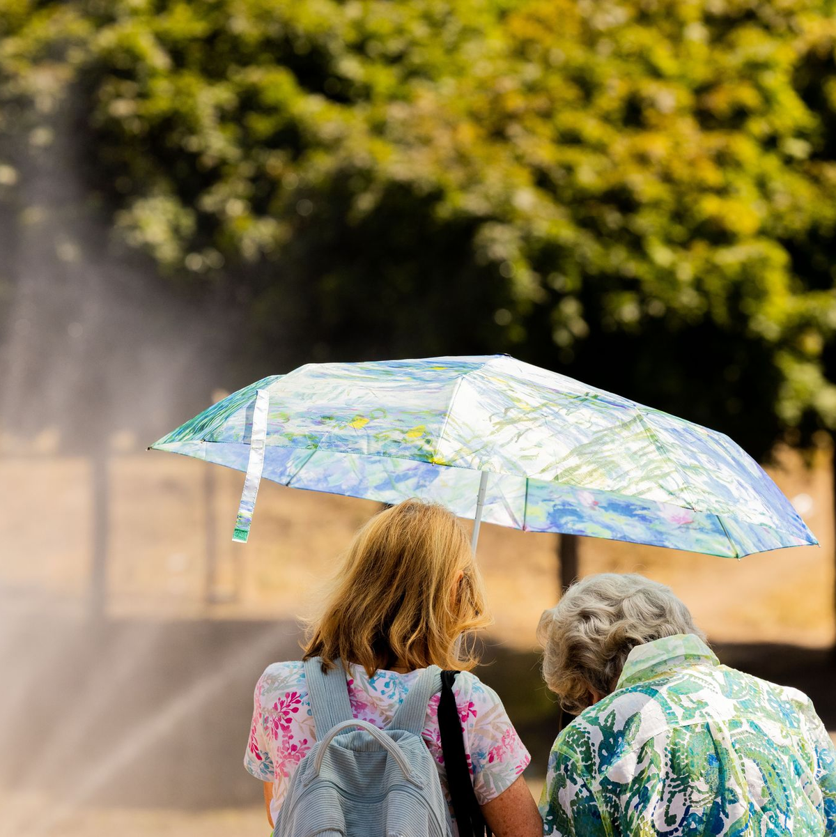 Ältere und pflegebedürftige Menschen sind bei Hitze besonders gefährdet. (Archivbild) - Foto: Rolf Vennenbernd/dpa/dpa-tmn