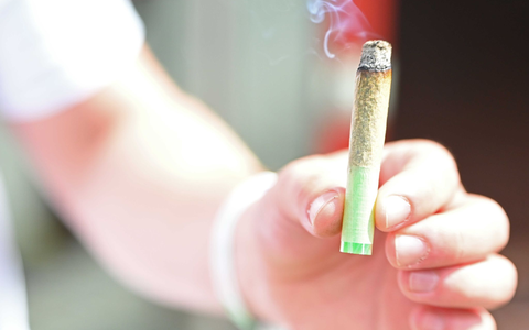 Junge Erwachsene greifen einer neuen Studie zufolge häufiger zu Cannabis als früher. (Illustration) - Foto: Michael Brandt/dpa