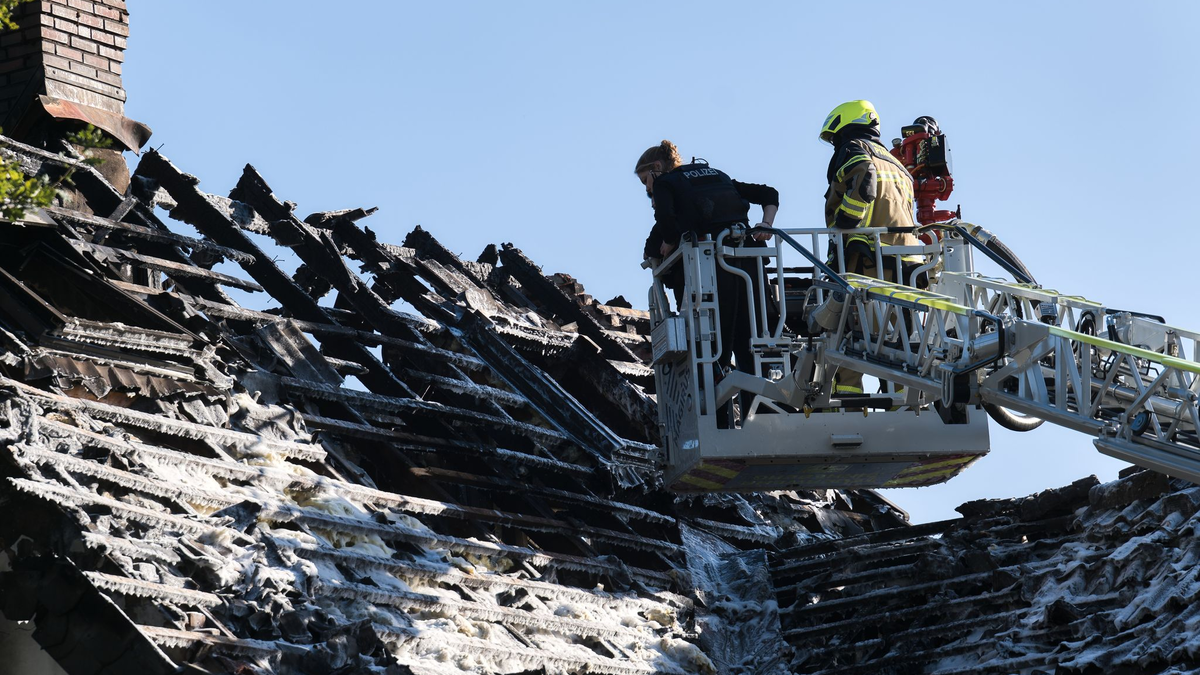 Die Suche gestaltete sich schwierig. - Foto: Marcus Golejewski/dpa