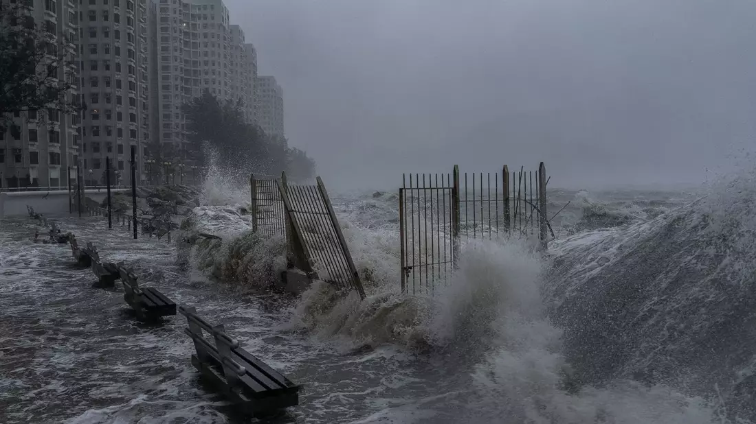 Ein Anwohner trägt in Hongkong ein Haustier durch das Hochwasser. - Bild: Chan Long Hei/AP/dpa