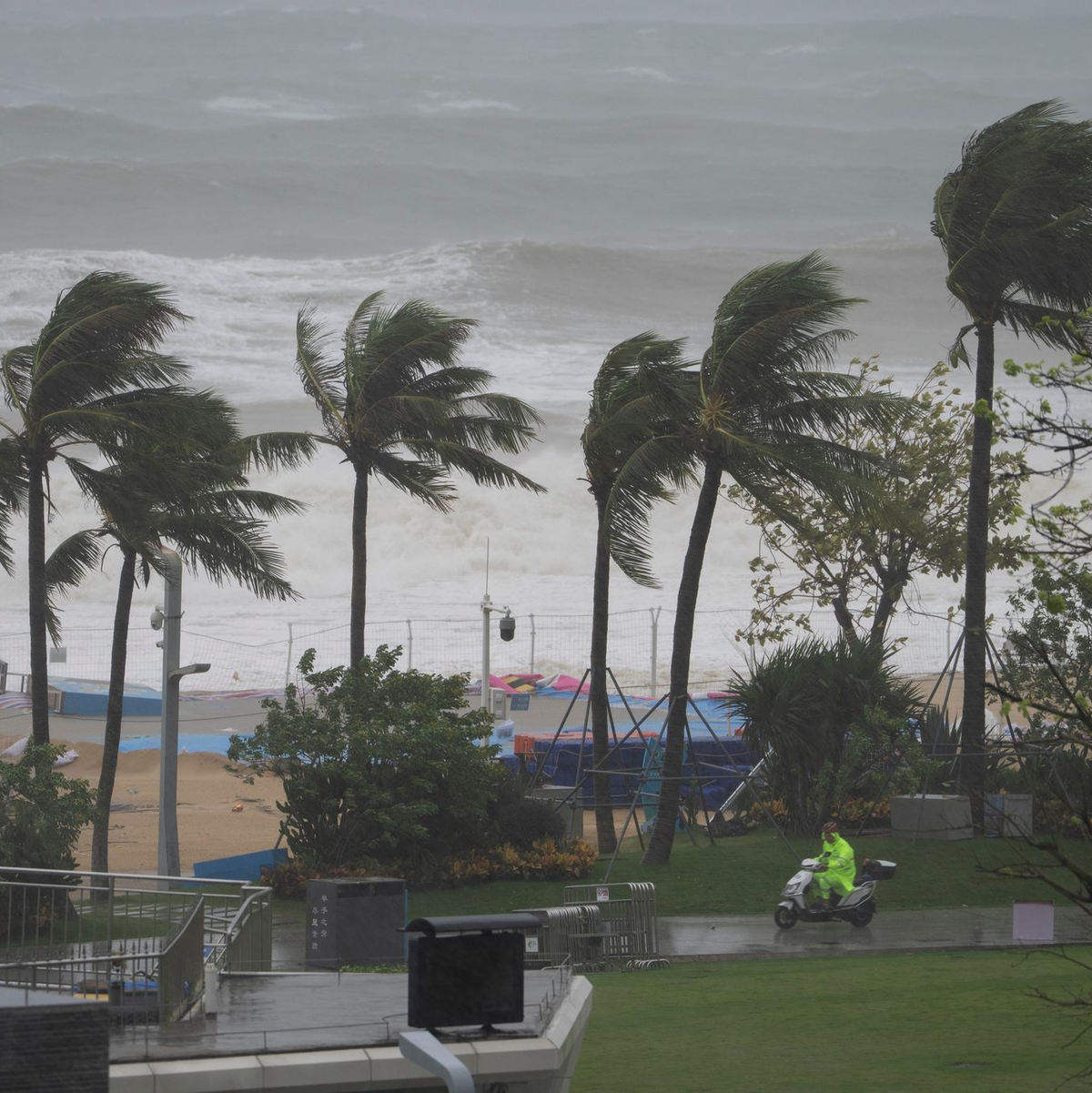 Die kräftigen Winde ließen örtlich Bäume umknicken.  - Foto: Ng Han Guan/AP/dpa