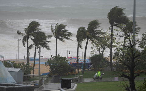 Die kräftigen Winde ließen örtlich Bäume umknicken.  - Foto: Ng Han Guan/AP/dpa