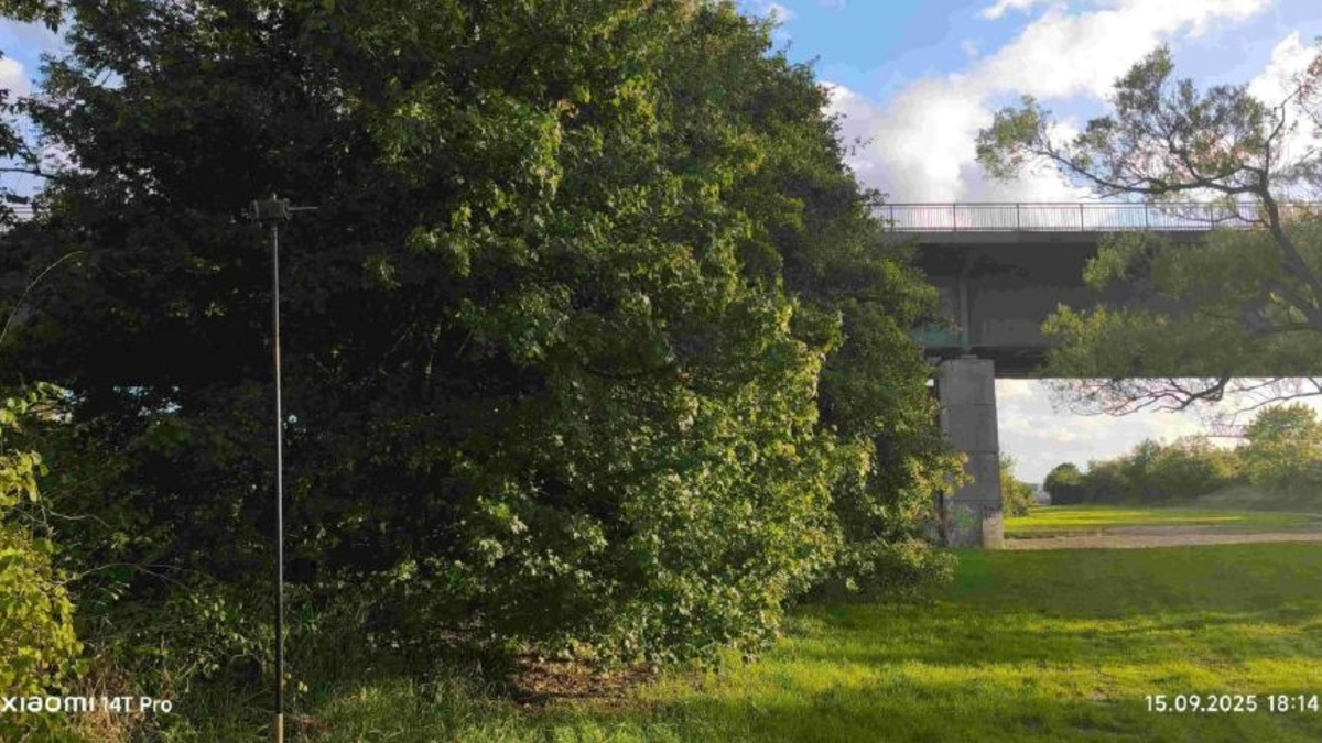 POL-PPTR: Diebstahl eines Fledermauserfassungsgeräts - Foto: presseportal.de