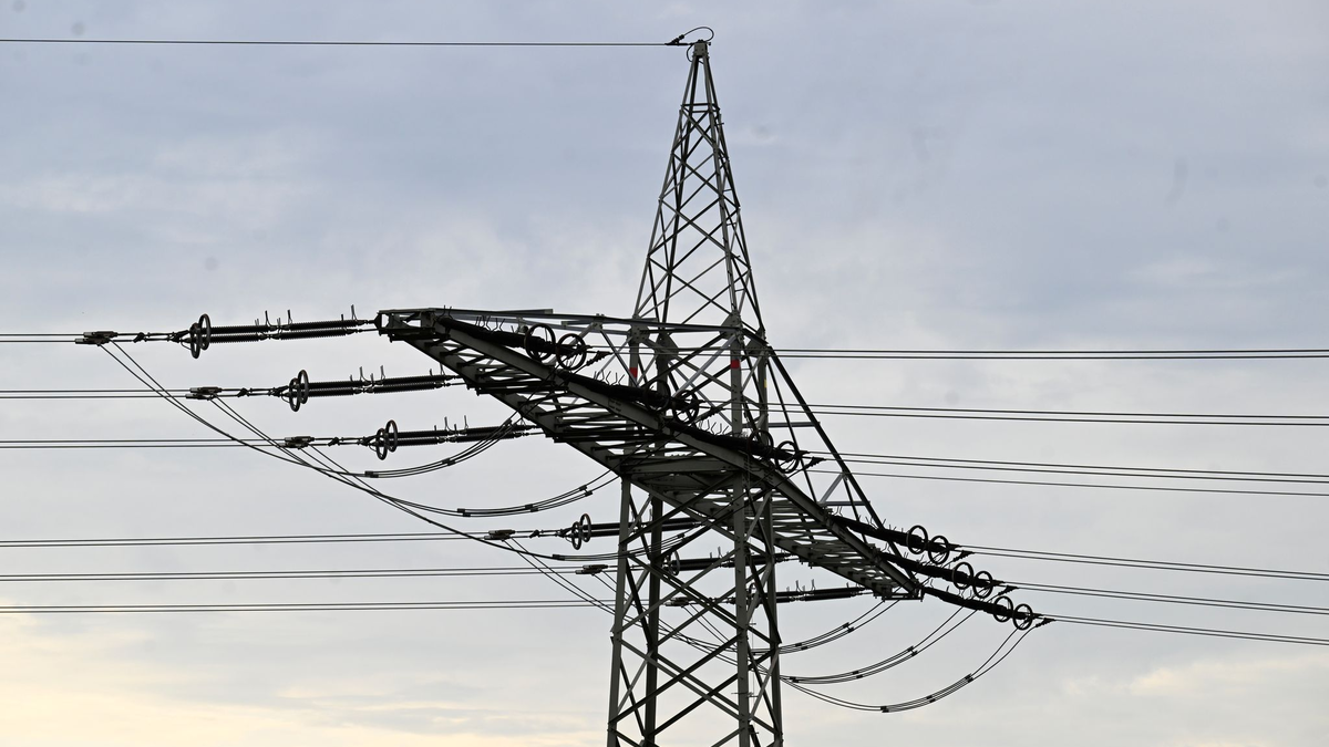 Drei Investoren übernehmen 46 Prozent der Anteile an Tennet Deutschland. (Symbolbild) - Foto: Roberto Pfeil/dpa
