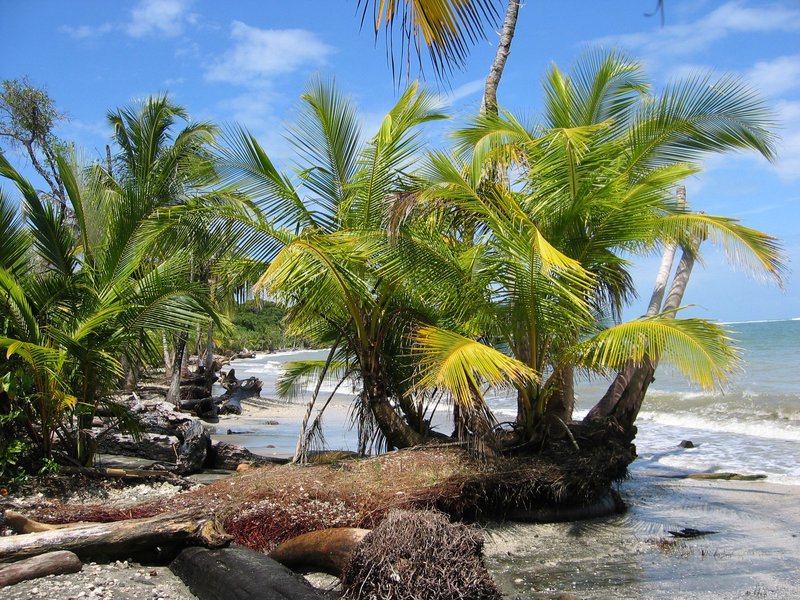 Der Fund zweier Leichen auf dem Grundstück eines deutschen Paares in Costa Rica gibt Rätsel auf. (Archivbild) - Foto: picture alliance / dpa
