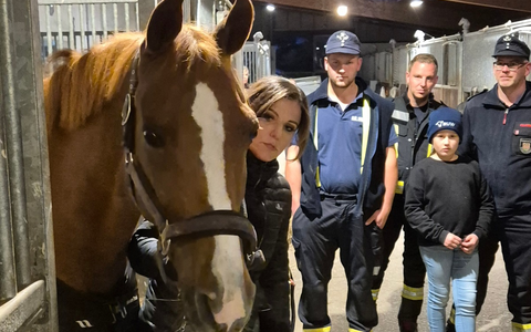 FW Schalksmühle: Feuerwehr trifft Pferd - Foto: presseportal.de
