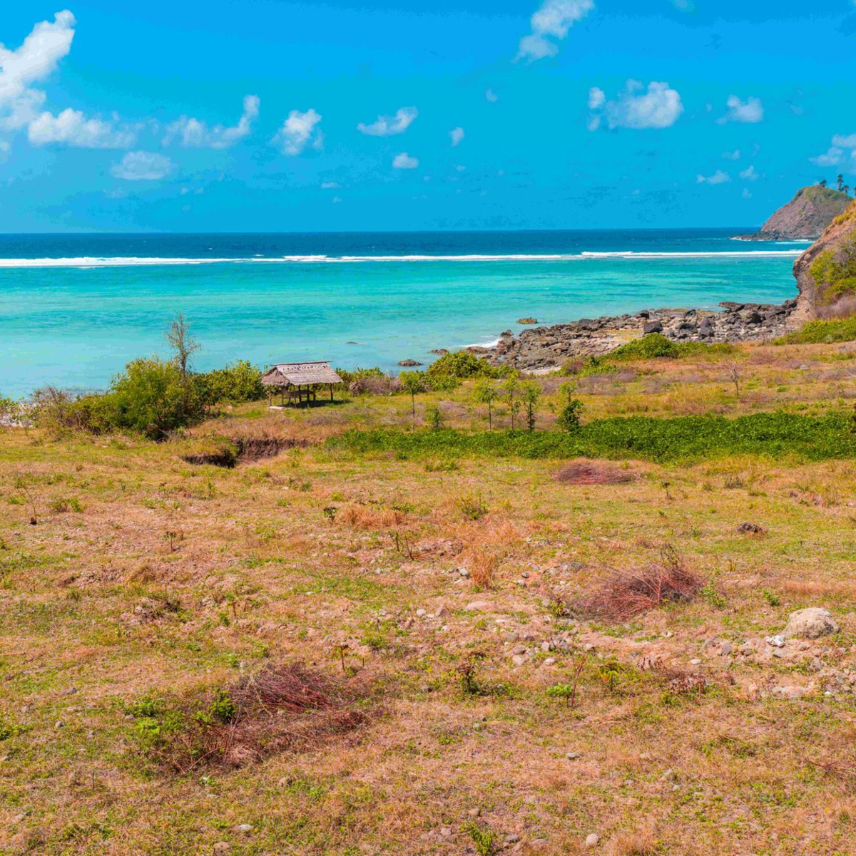 Bisher ist die Region noch ursprünglich und unbebaut.  - Foto: Marina Bay City/Lombok/dpa