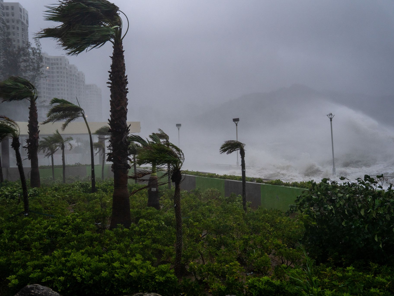 Der Taifun «Ragasa» im September war einer der schwersten Stürme der zu Ende gegangenen Wirbelsturmsaison. In Hongkong richtete er Schäden an. (Archivbild) - Foto: Vernon Yuen/Nexpher via ZUMA Press Wire/dpa