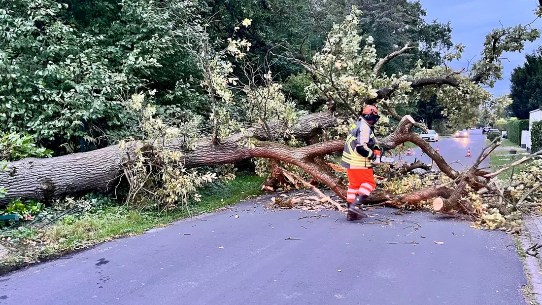 FW Hünxe: Baum blockierte Straße - Bild: presseportal.de