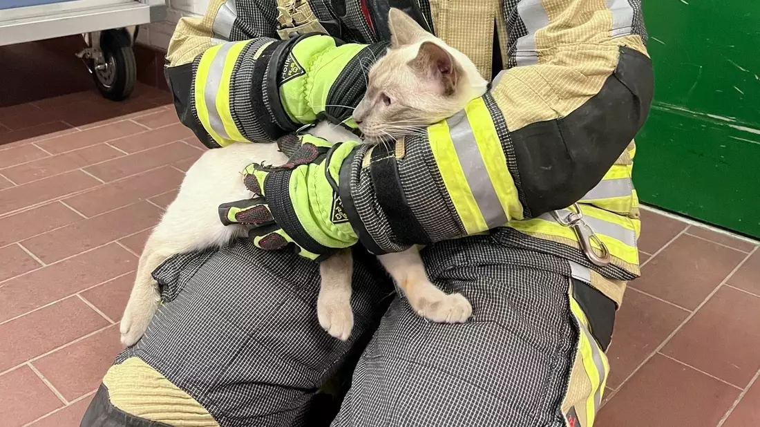 FW Hünxe: Feuerwehr rettet eingeklemmte Katze aus Schleusenkammer - Bild: presseportal.de