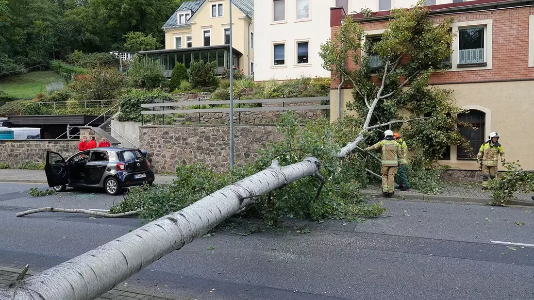 FW Dresden: Informationen zum Einsatzgeschehen von Feuerwehr und Rettungsdienst in der Landeshauptstadt Dresden vom 24. September 2025 - Bild: presseportal.de