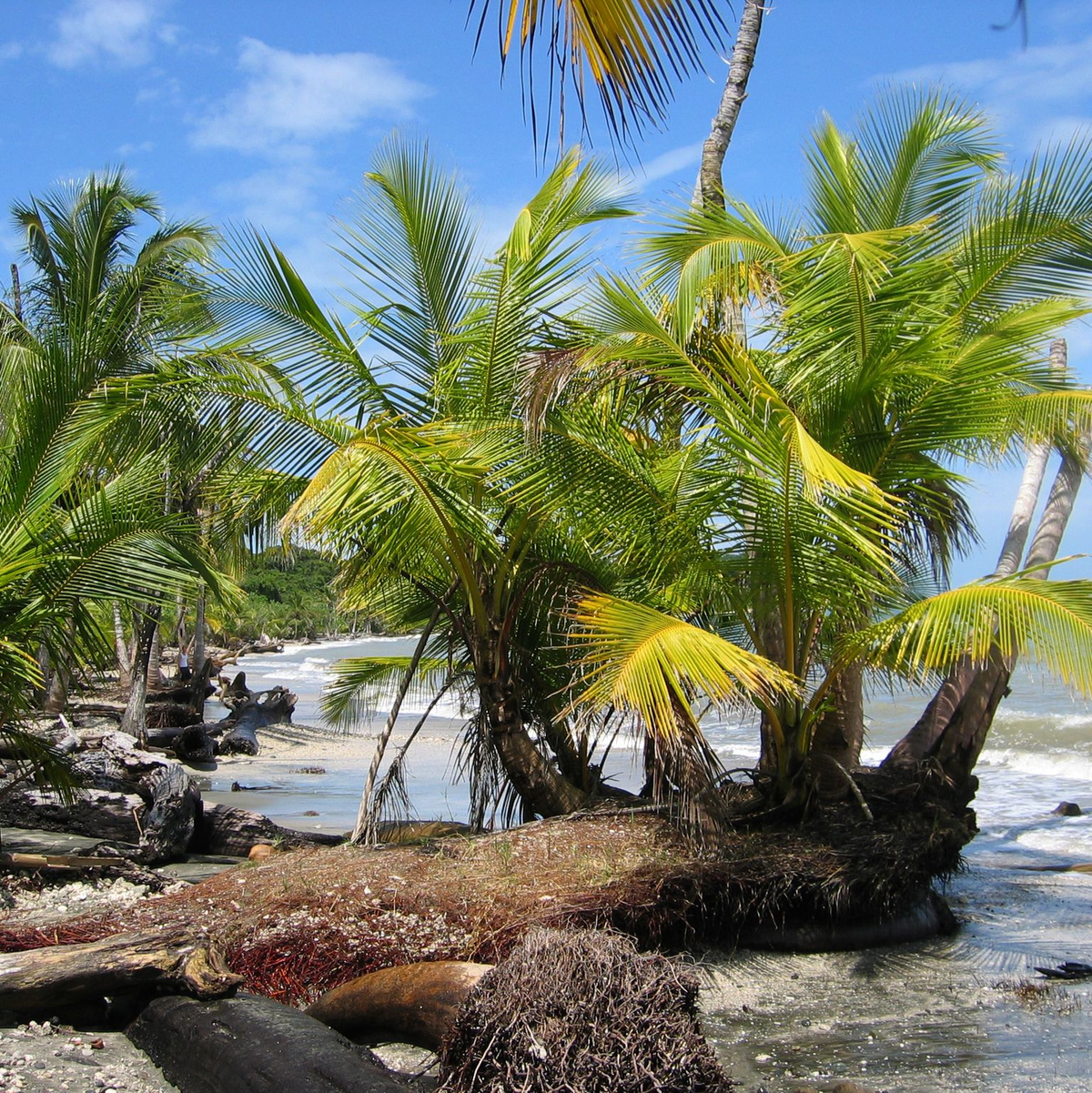 Die getötete Frau stammte laut neuen Erkenntnissen aus Österreich. Der Mann ist bisher nicht identifiziert worden. (Symbolbild) - Foto: Rolf Haid/dpa
