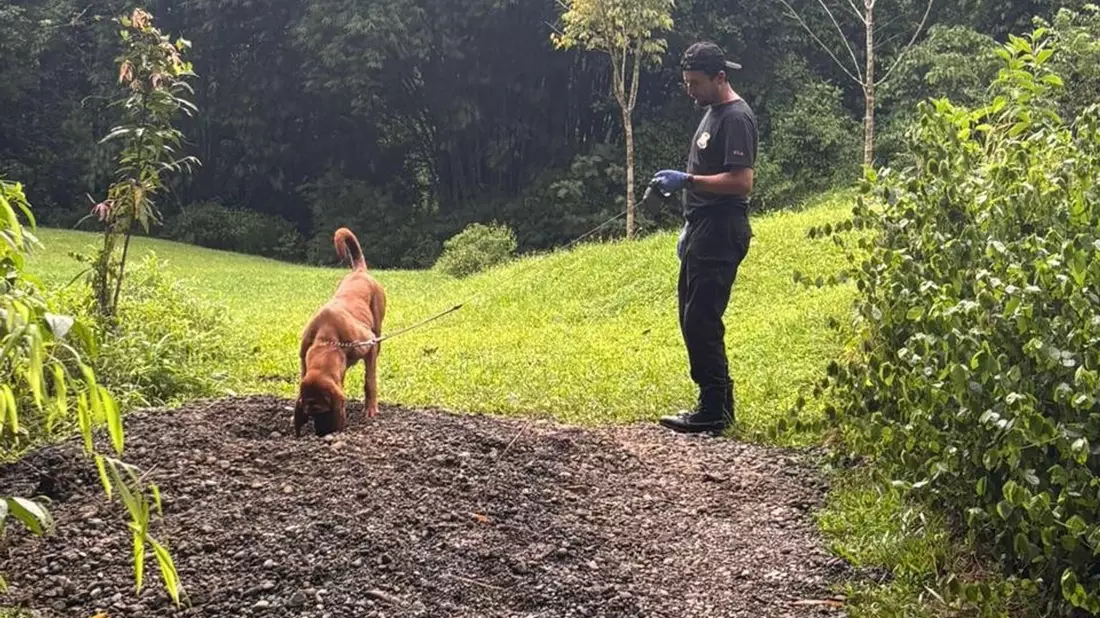 Die Ermittler entdeckten die Leichen mit Hilfe eines Spürhunds. - Bild: ---/OIJ Costa Rica/dpa