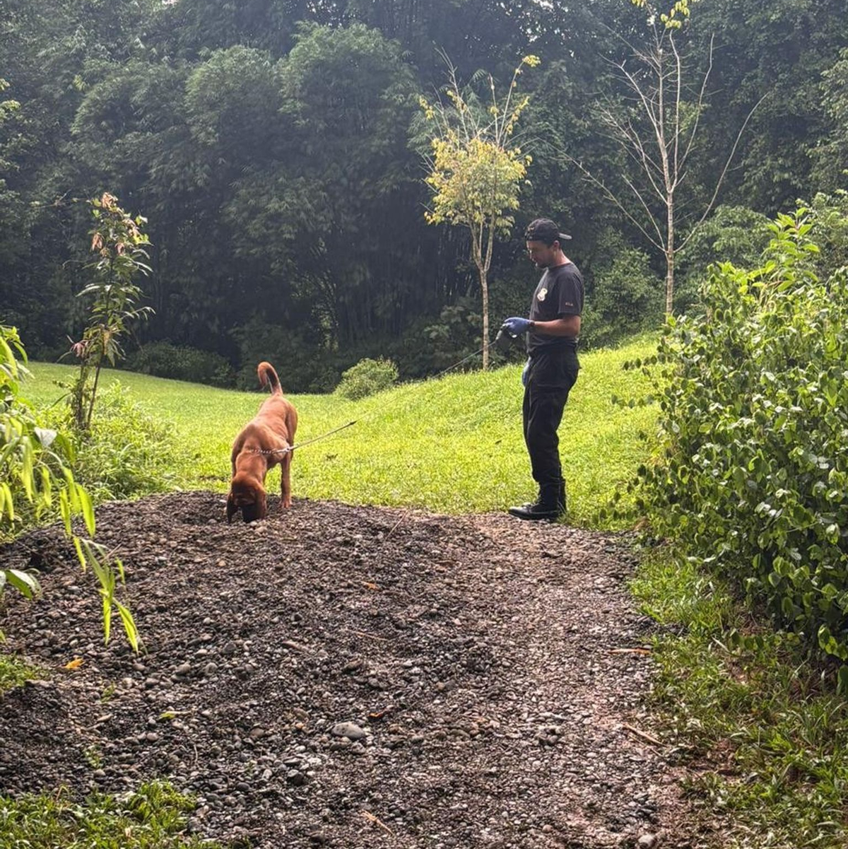 Auf diesem von der costa-ricanischen Ermittlungsbehörde zur Verfügung gestellten Bild ist der Fundort zu sehen. - Foto: ---/OIJ Costa Rica/dpa