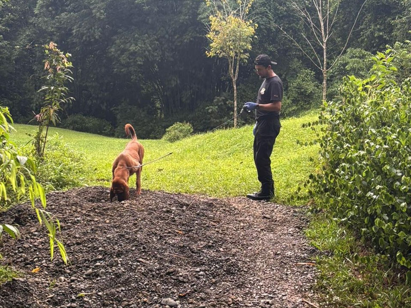 Die Ermittler entdeckten die Leichen mit Hilfe eines Spürhunds. - Foto: ---/OIJ Costa Rica/dpa