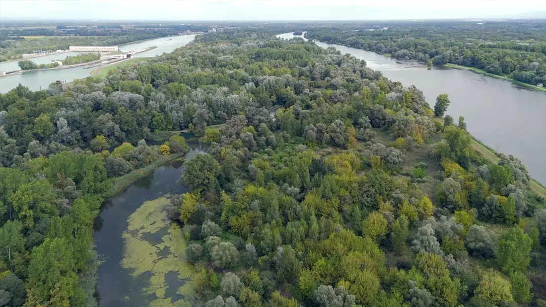 Rhinaissance: Ein europäisches Projekt für die Wiederbelebung des Rheins^ - Bild: presseportal.de