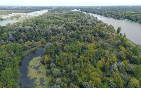 Rhinaissance: Ein europäisches Projekt für die Wiederbelebung des Rheins^ - Foto: presseportal.de