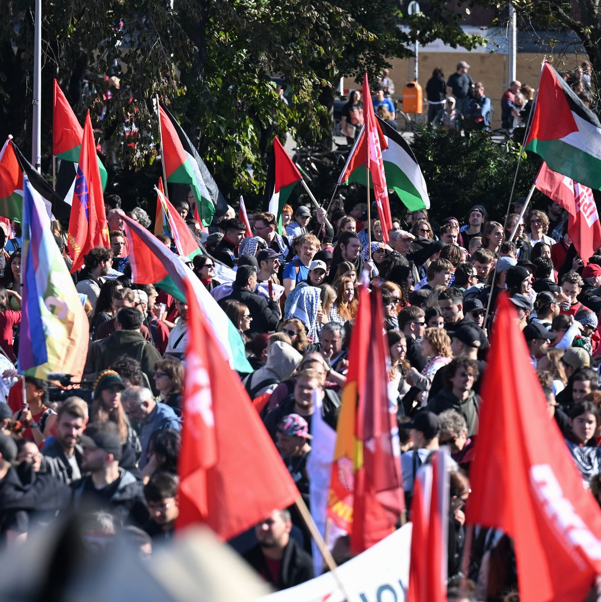Menschen trugen Fahnen und Schilder. - Foto: Annette Riedl/dpa