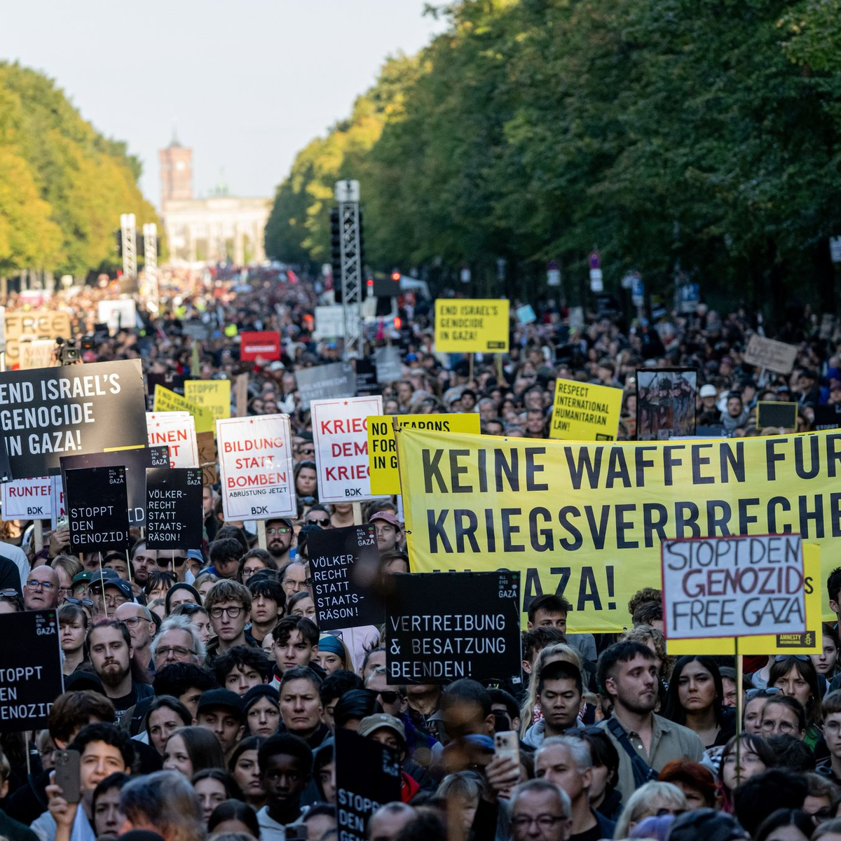 Auch der jüdische Musiker Michael Barenboim wirft der israelischen Regierung einen Genozid vor. - Foto: Fabian Sommer/dpa