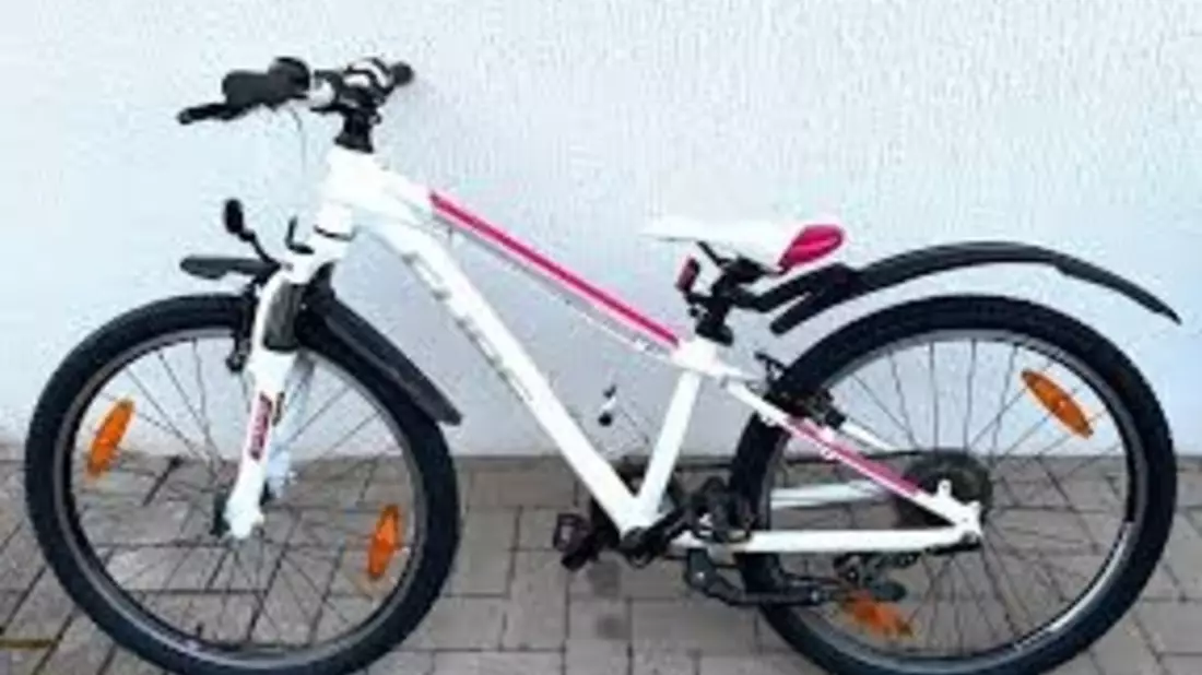 POL-PDTR: Kinderfahrrad aus Vorgarten entwendet - Bild: presseportal.de
