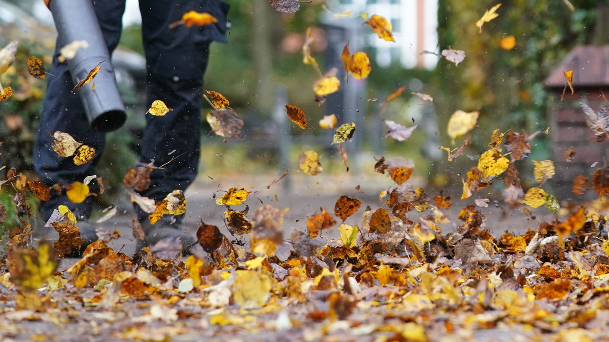 Zürich will den Einsatz nur noch von Oktober bis Dezember erlauben. (Symbolfoto) - Foto: Marcus Brandt/dpa/dpa-tmn