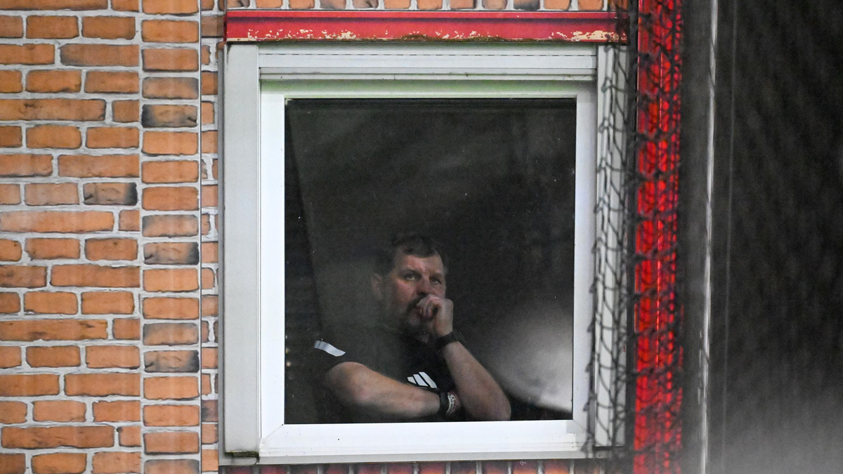 Referee Aytekin liegt mit seinem Elfmeterpfiff richtig.  - Foto: Soeren Stache/dpa