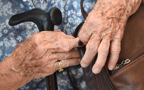 Mehr mindestens Hundertjährige leben in Deutschland. (Symbolbild) - Foto: Arne Dedert/dpa