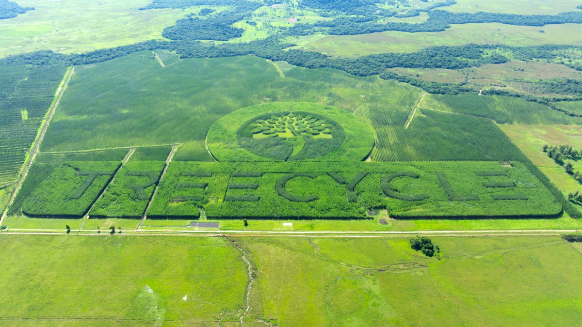 TREECYCLE erhält erneut grünes Licht: Impact-Investment wächst weiter / Der Kreislauf für Mensch, Natur und Rendite - Foto: presseportal.de