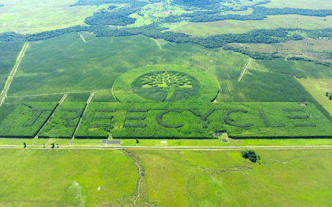 TREECYCLE erhält erneut grünes Licht: Impact-Investment wächst weiter / Der Kreislauf für Mensch, Natur und Rendite - Foto: presseportal.de