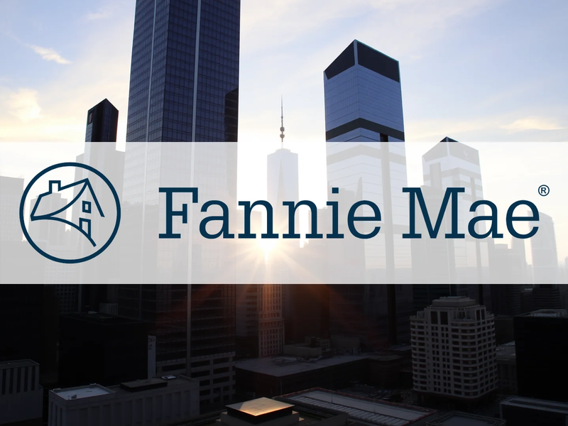 Fannie Mae Aktie: Strahlende Zukunftsprognose! - Foto: über boerse-global.de