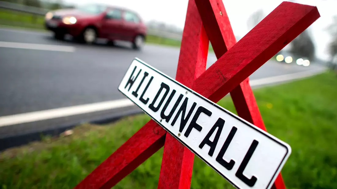 Ein Warnschild an der Stelle eines Wildunfalls in Deutschland. (Symbolbild)  - Bild: Hauke-Christian Dittrich/dpa