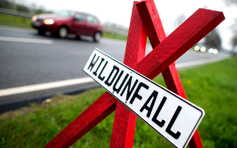 Ein Warnschild an der Stelle eines Wildunfalls in Deutschland. (Symbolbild) - Foto: Hauke-Christian Dittrich/dpa Ein Warnschild an der Stelle eines Wildunfalls in Deutschland. (Symbolbild) - Foto: Hauke-Christian Dittrich/dpa