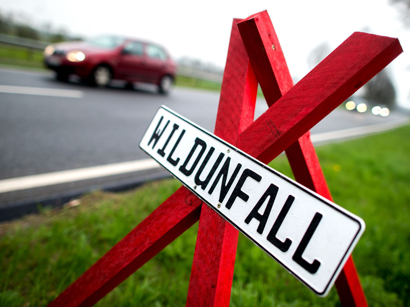 Ein Warnschild an der Stelle eines Wildunfalls in Deutschland. (Symbolbild)  - Foto: Hauke-Christian Dittrich/dpa