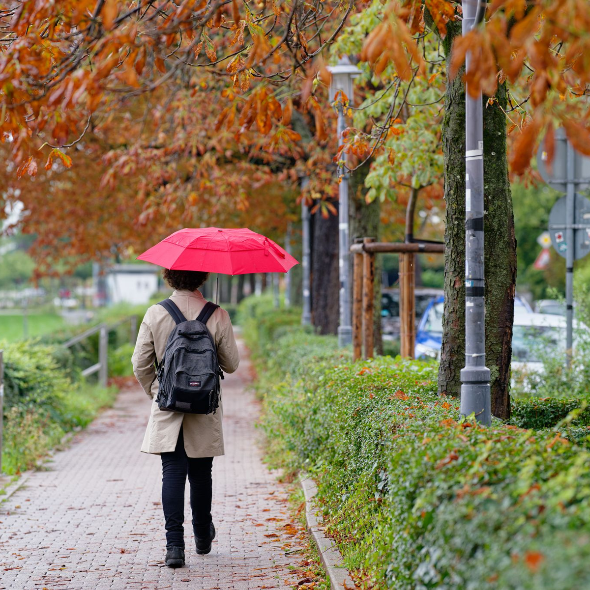 Im Südwesten kam der September eher nass daher (Symboldbild) - Foto: Uwe Anspach/dpa