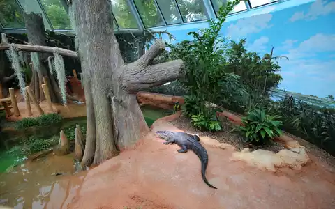 Eröffnung Terrarium Zoo Leipzig - Foto: © Andreas Schmidt über pressetext.de