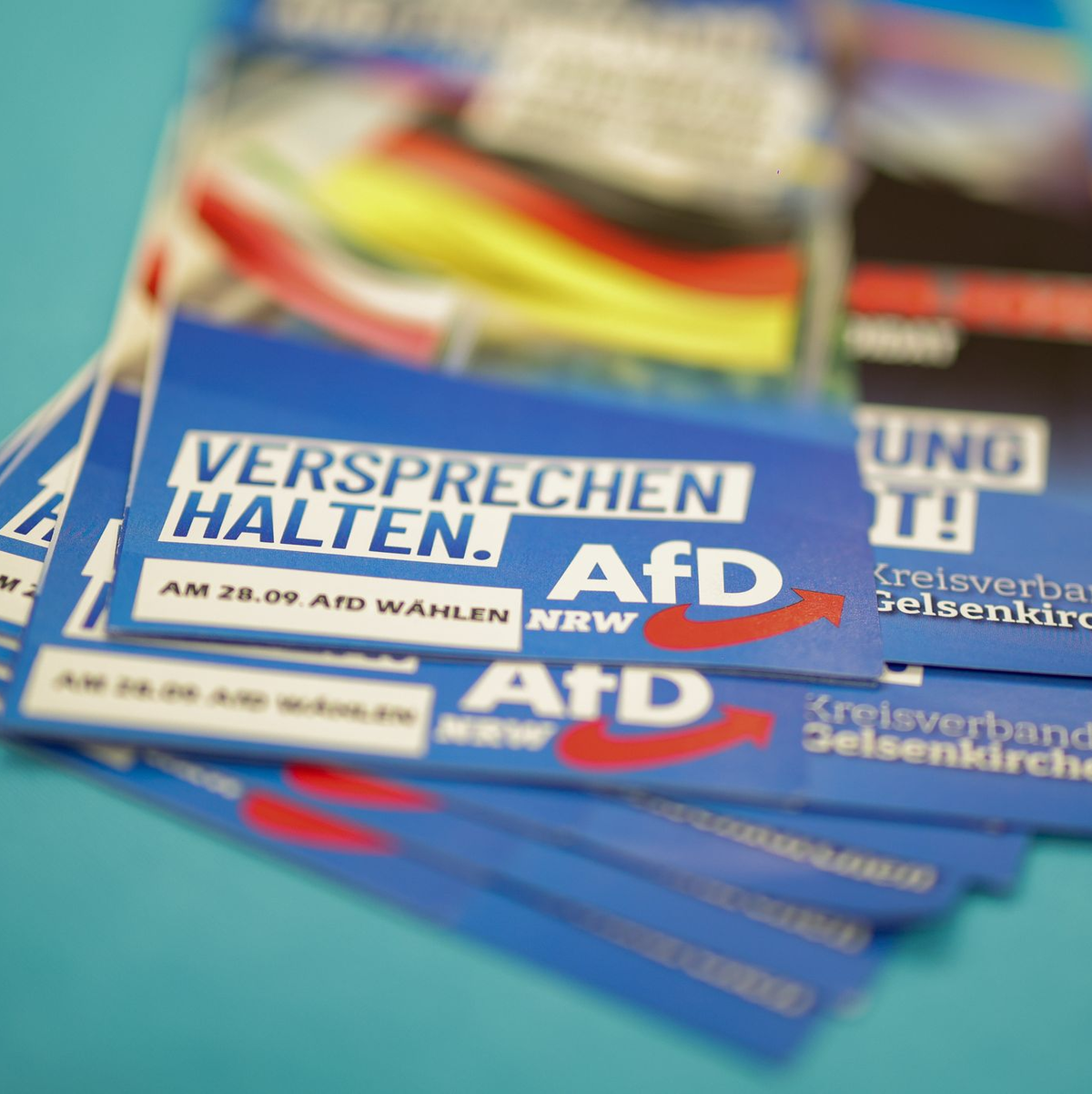Die AfD brachte keinen ihrer Kandidaten in den Stichwahlen durch. - Foto: Christoph Reichwein/dpa