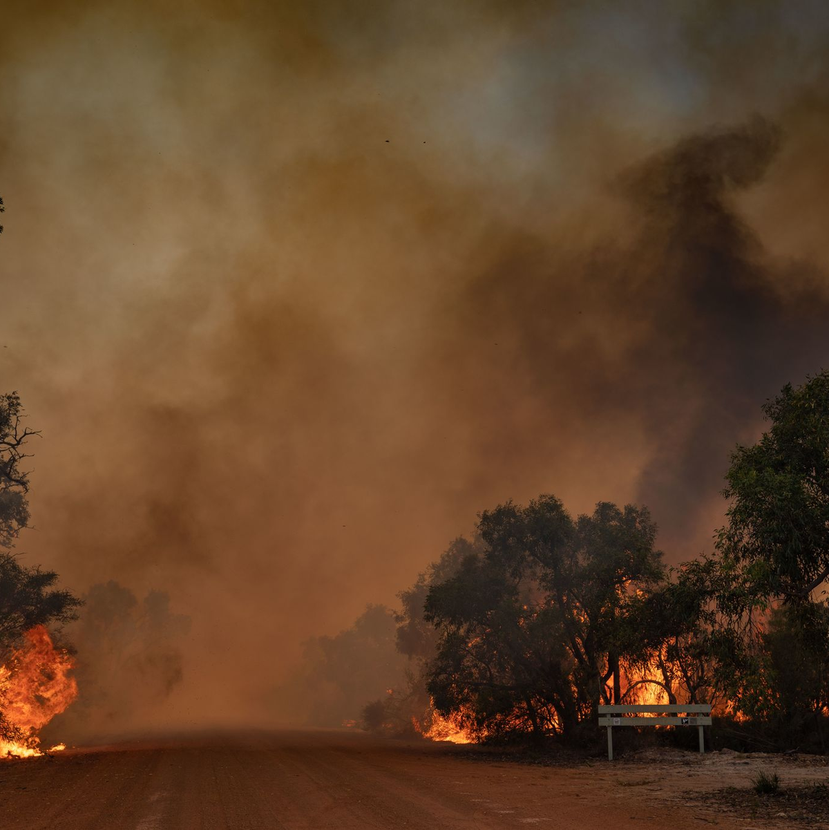 Buschbrände in Australien nördlich von Perth - Foto: Evan Collis/DEPARTMENT OF FIRE AND EMERGENCY SERVICES/AAP/dpa