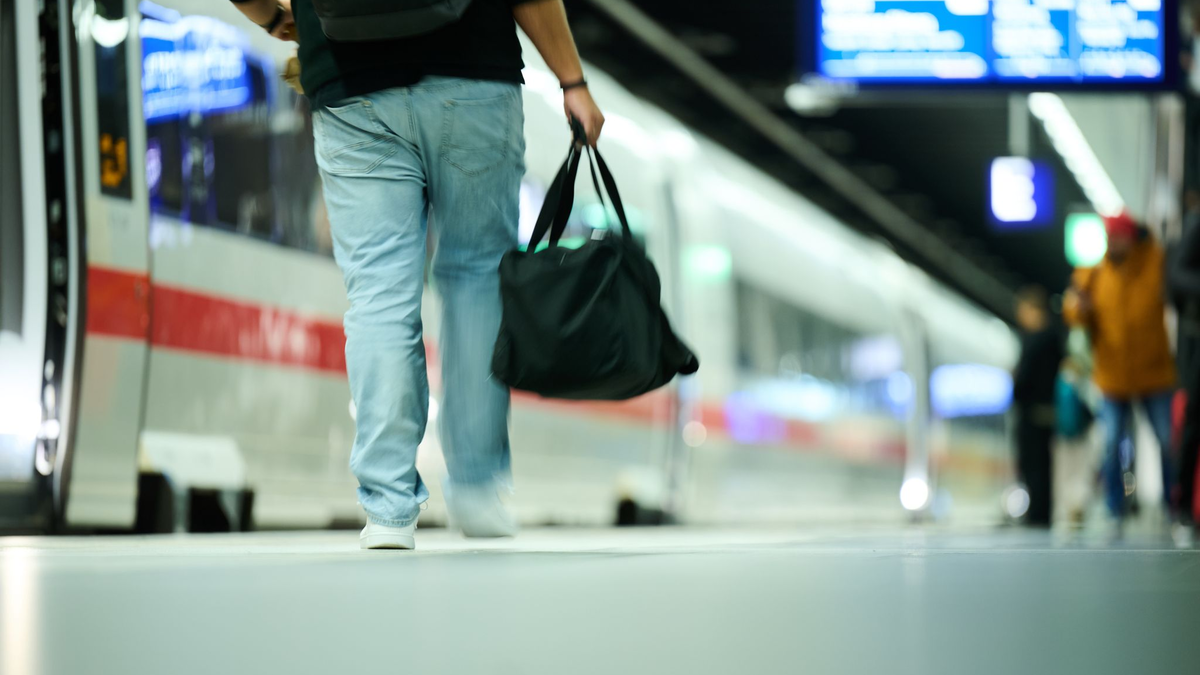 Weniger Züge sind aus Sicht einiger Verkehrsverbände kein Lösungsansatz, um die Pünktlichkeit im Fernverkehr zu erhöhen. (Archivbild) - Foto: Annette Riedl/dpa