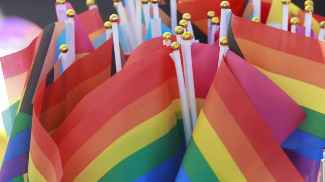 Regenbogenfahnen - Symbol der Community - auf einem Christopher Street Day. (Archivbild) - Bild: Matthias Bein/dpa