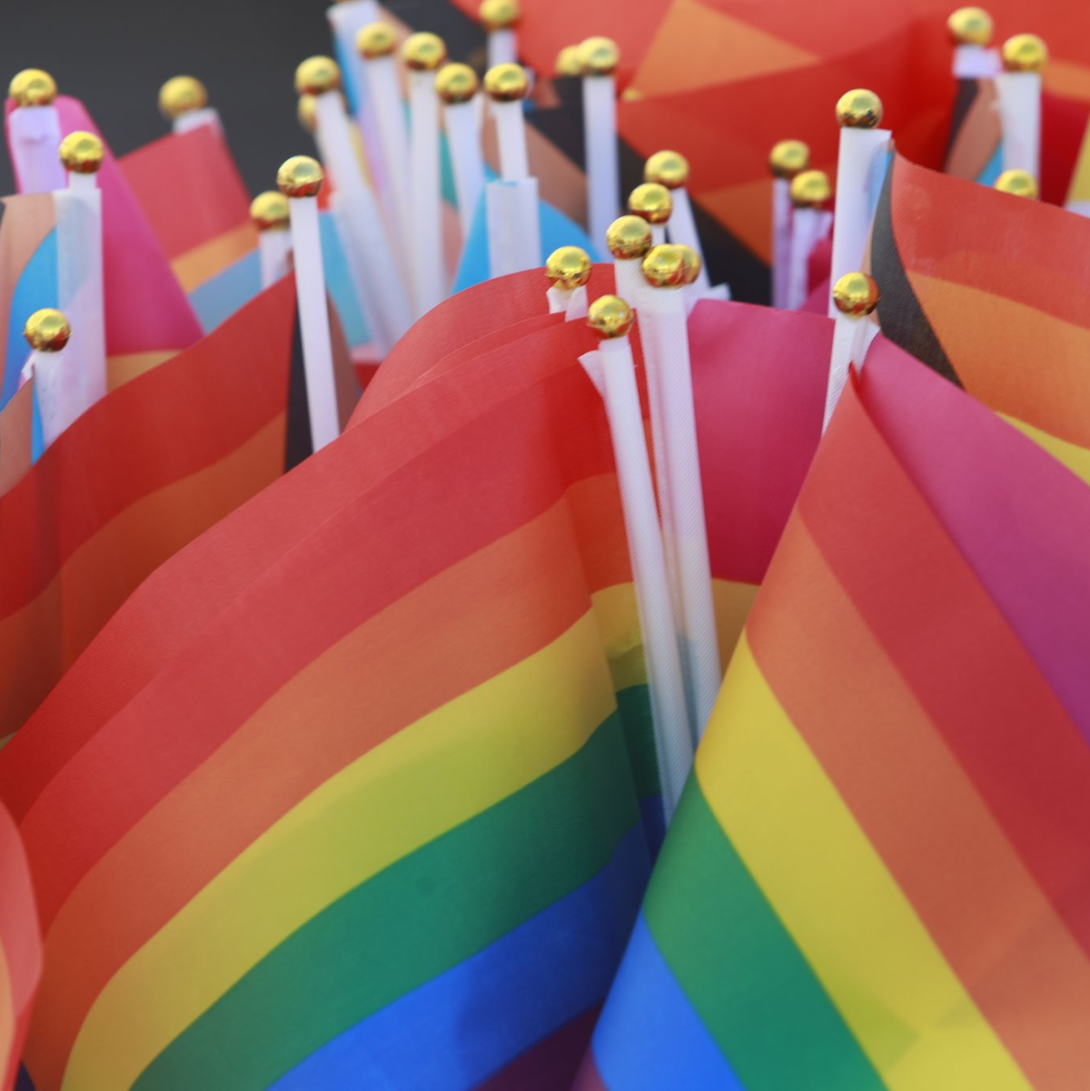 Regenbogenfahnen - Symbol der Community - auf einem Christopher Street Day. (Archivbild) - Foto: Matthias Bein/dpa