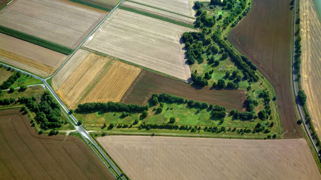 Naturschutzprojekt Deutsche Einheit: Grünes Band immer bekannter und beliebter / BUND veröffentlicht Umfrage zum größten deutschen Biotopverbund - Bild: presseportal.de
