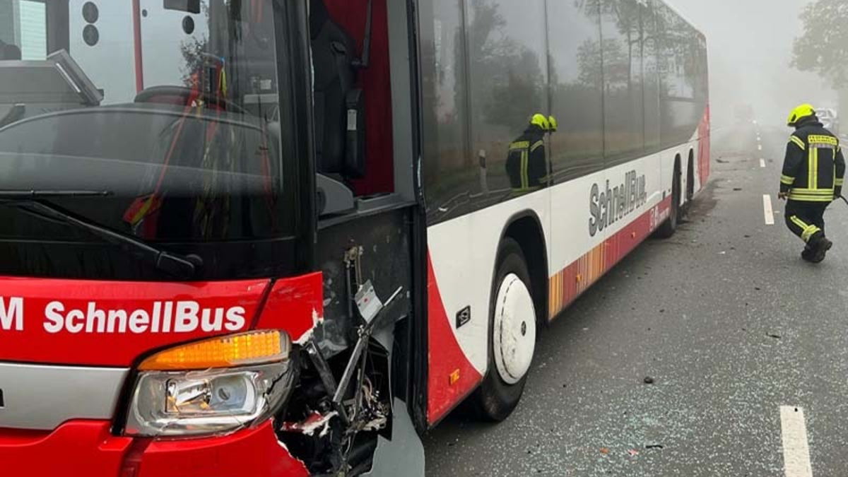 POL-ST: Altenberge, Kollision zwischen Bus und Auto, Zwei leicht verletzte Personen - Foto: presseportal.de